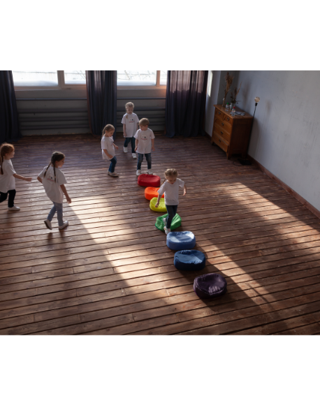 4776-42 Кочки плоские/объемные разноцветные 7шт напрокат и купить в Казани по низкой оптовой цене, доставка по всей России