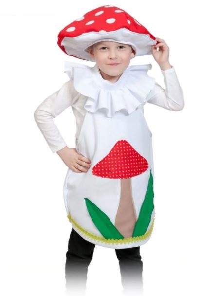 1880-842 Гриб мухомор,98-128,4-7 лет напрокат и купить в Казани по низкой оптовой цене, доставка по всей России