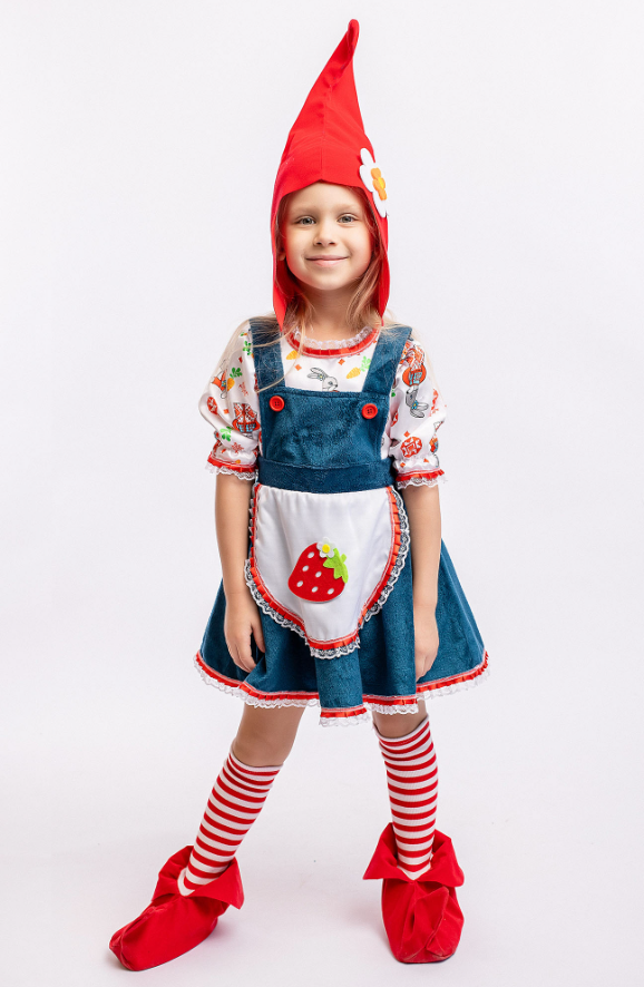 4422-81 Костюм Гномик Рита