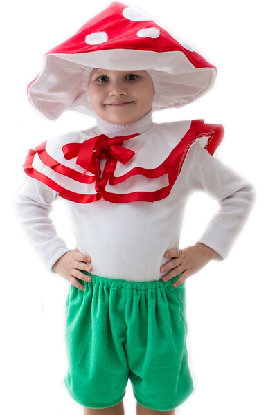 1880-81 Костюм Мухомора R напрокат и купить в Казани по низкой оптовой цене, доставка по всей России