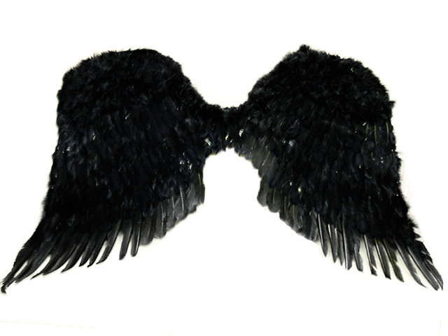 3402-51 Крылья перьевые черные 90*65 см напрокат и купить в Казани по низкой оптовой цене, доставка по всей России