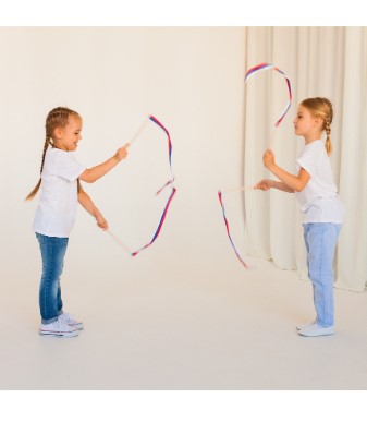 4775-2 Лента на палочке, 0,5м (триколор) напрокат и купить в Казани по низкой оптовой цене, доставка по всей России 4775-2 Лента на палочке, 0,5м (триколор) напрокат и купить в Казани по низкой оптовой цене, доставка по всей России