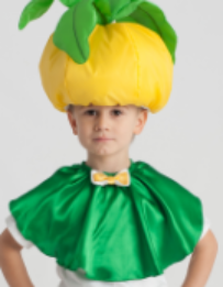 1891 Накидка для ягод, овощей, фруктов напрокат и купить в Казани по низкой оптовой цене, доставка по всей России