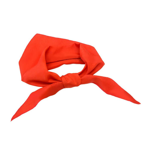 4555-1 Пионерский галстук напрокат и купить в Казани по низкой оптовой цене, доставка по всей России