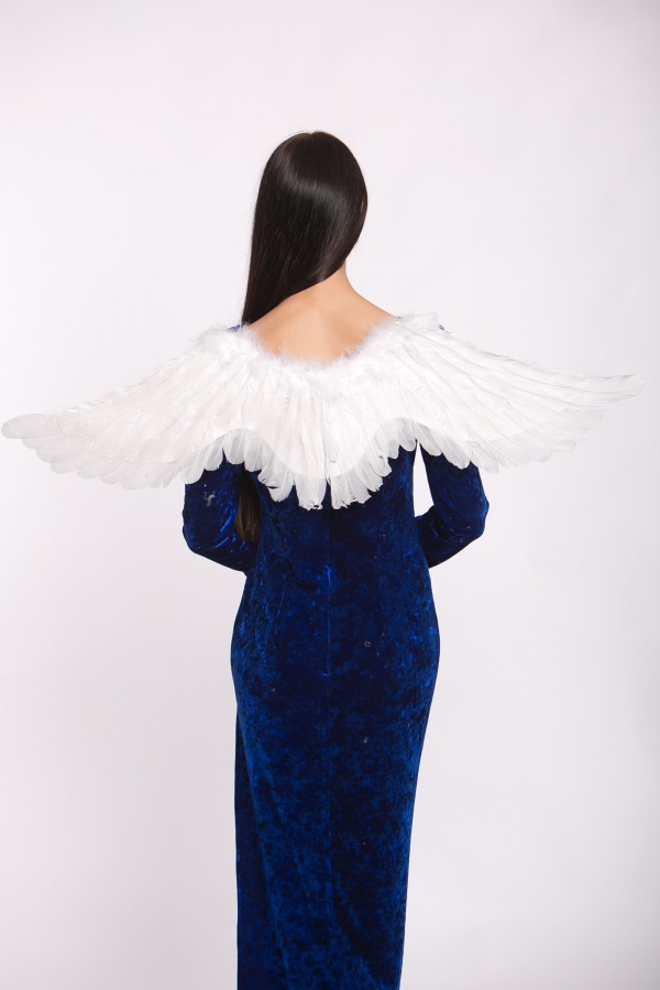 3401-71 Крылья белые 25х100 см напрокат и купить в Казани по низкой оптовой цене, доставка по всей России